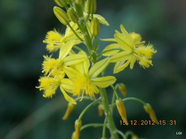 DSCN0617.JPG