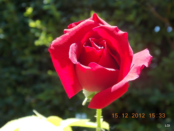 DSCN0619.JPG
