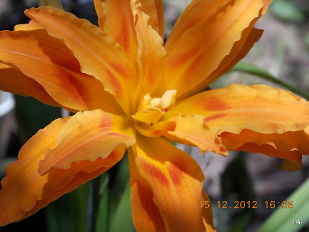 DSCN0620.JPG