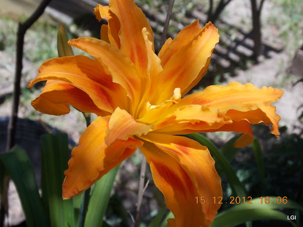 DSCN0621.JPG