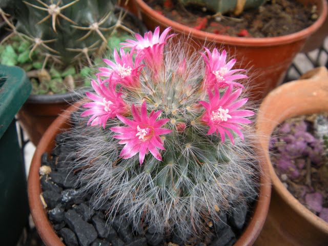 DSCN0624.JPG