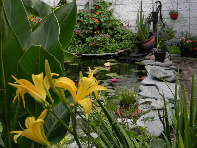 DSCN0632.jpg