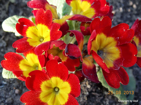 DSCN0635.JPG