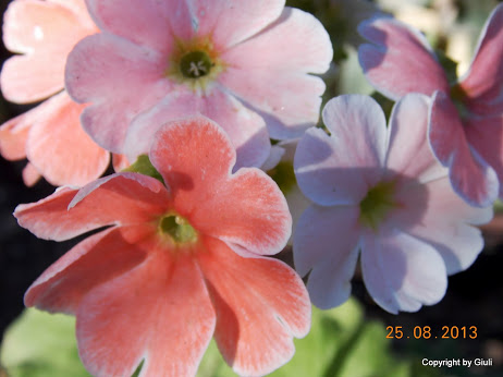 DSCN0637.JPG