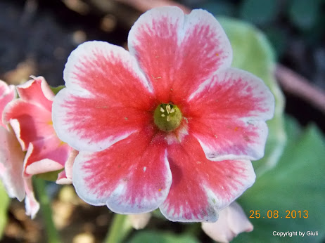 DSCN0638.JPG