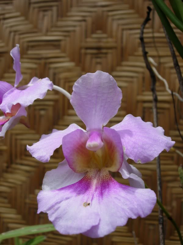 DSCN0639.jpg