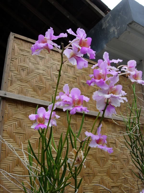 DSCN0640.jpg