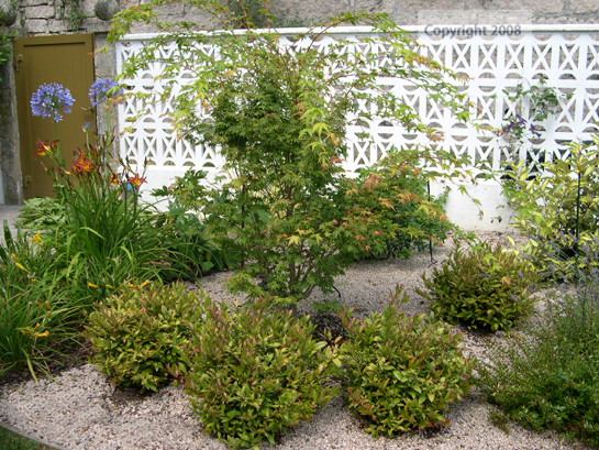 DSCN0640.jpg
