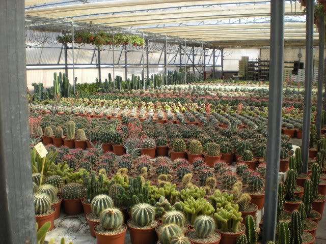 DSCN0640.jpg