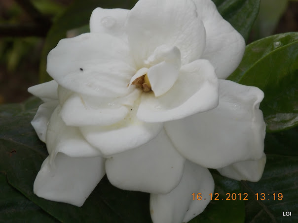 DSCN0640.JPG