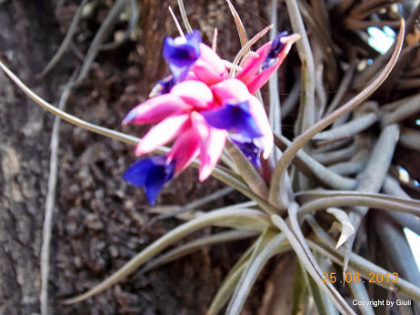 DSCN0640.JPG