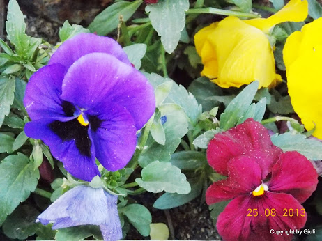 DSCN0641.JPG