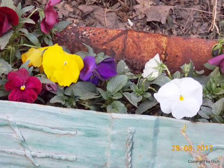DSCN0642.JPG