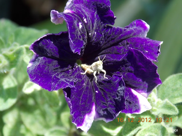 DSCN0645.JPG