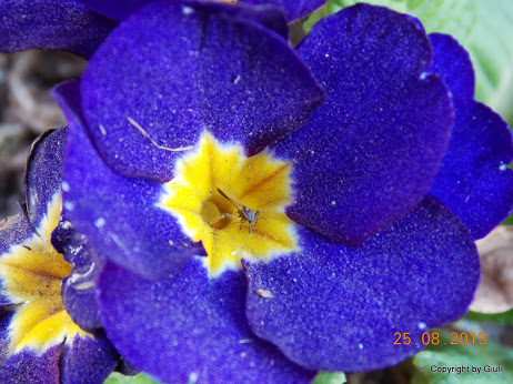 DSCN0645.JPG