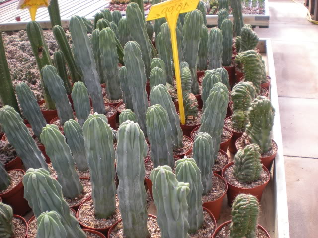 DSCN0646.jpg