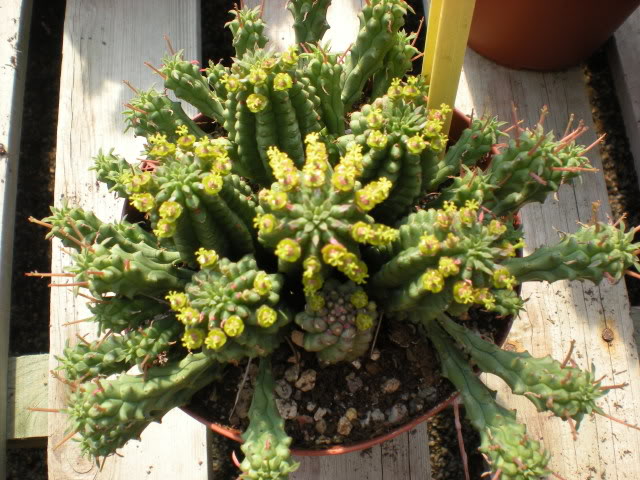 DSCN0647.jpg