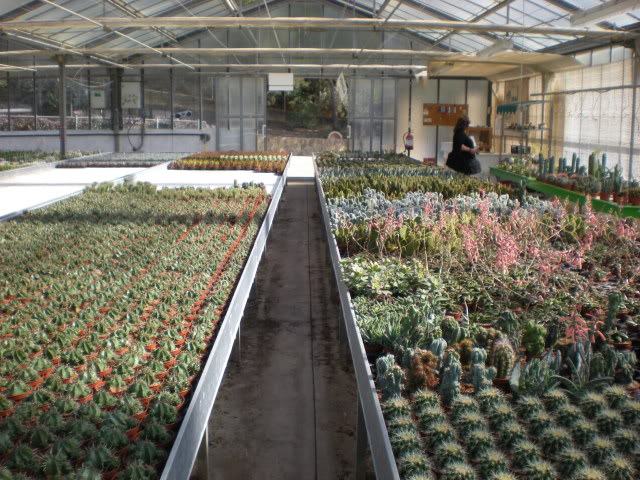 DSCN0650.jpg