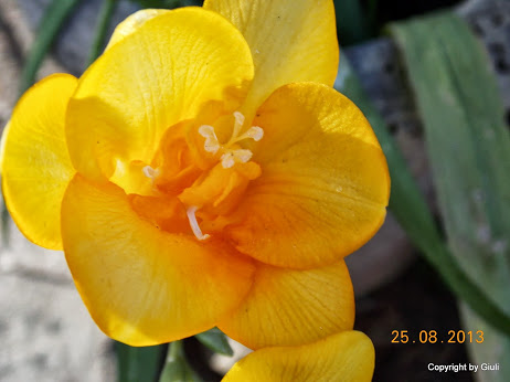DSCN0653.JPG