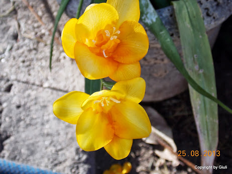 DSCN0654.JPG