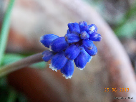 DSCN0660.JPG