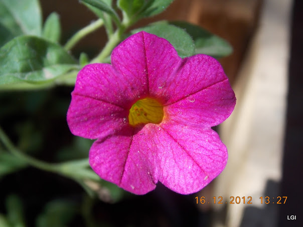 DSCN0663.JPG