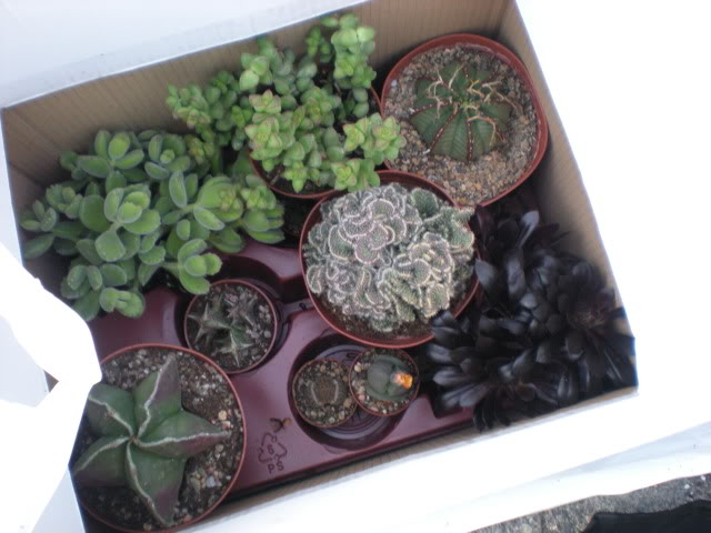 DSCN0664.jpg