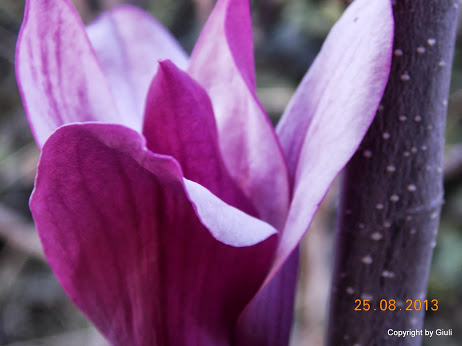 DSCN0667.JPG