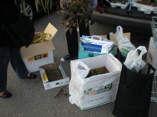 DSCN0668.jpg