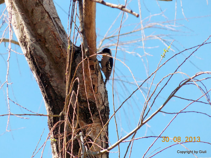 DSCN0677.JPG