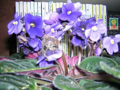 DSCN0684.JPG
