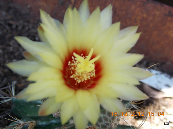 DSCN0689.JPG