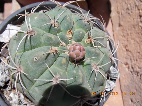DSCN0690.JPG