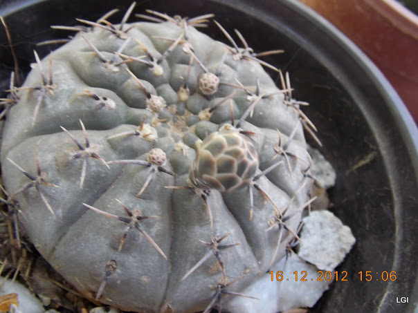 DSCN0691.JPG