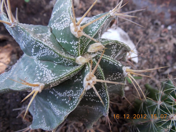 DSCN0693.JPG