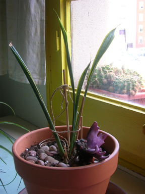 DSCN0710%7E0.JPG