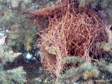 DSCN0720.JPG