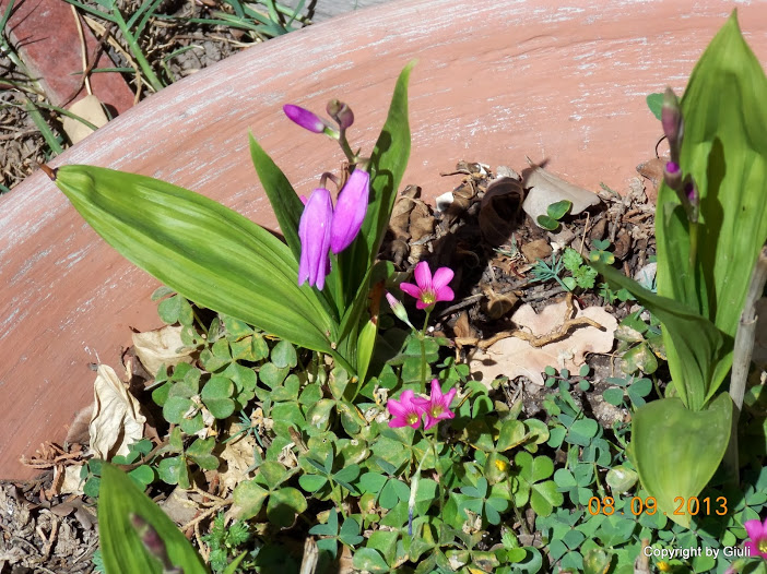 DSCN0732.JPG