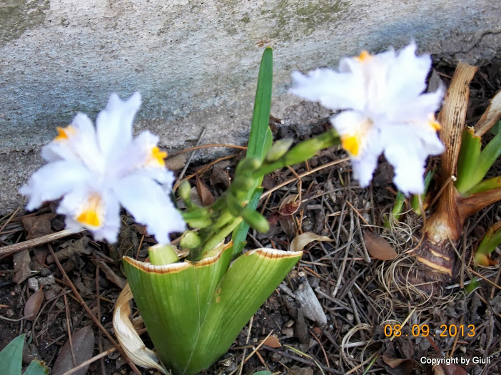 DSCN0745.JPG