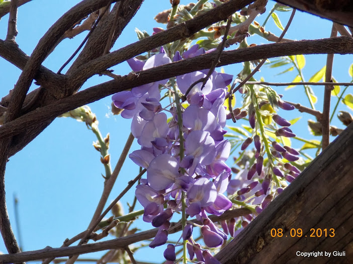 DSCN0754.JPG