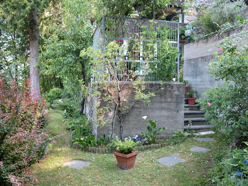 DSCN0756.JPG