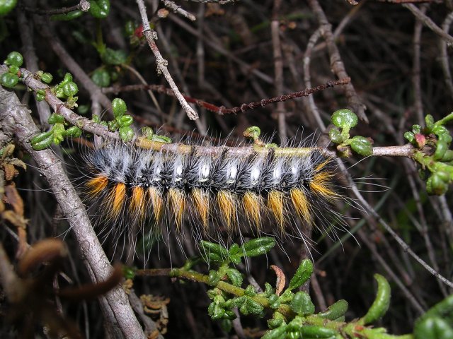 DSCN0760.jpg