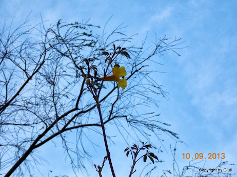 DSCN0763.JPG
