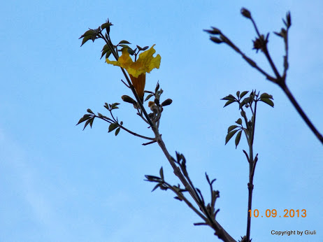 DSCN0764.JPG