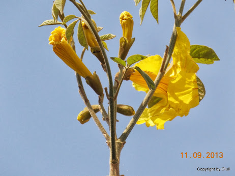 DSCN0767.JPG