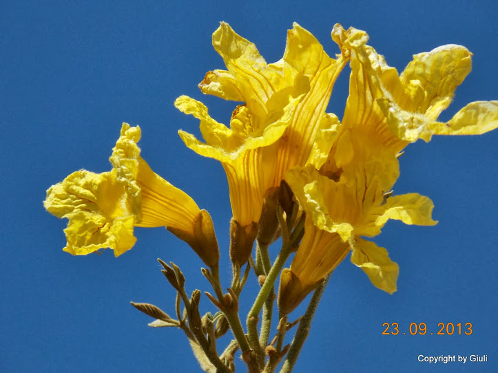DSCN0787.JPG