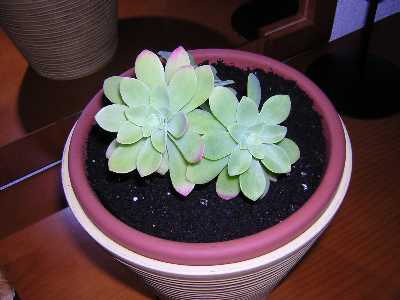 DSCN0798.JPG