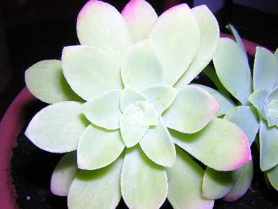 DSCN0799.JPG