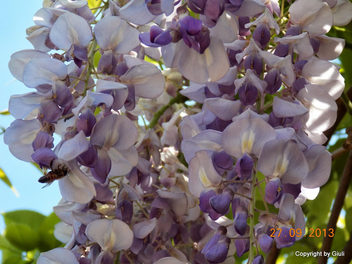 DSCN0800.JPG