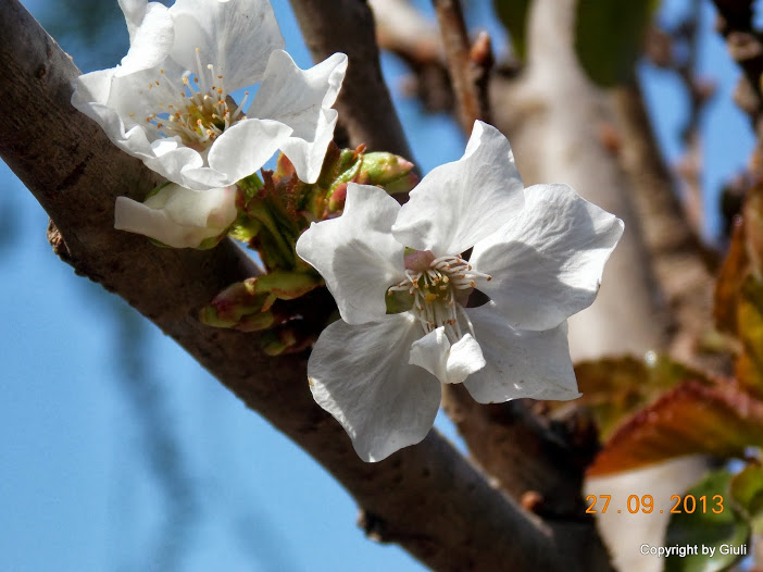 DSCN0802.JPG